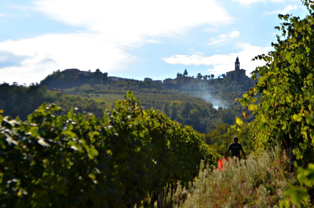 Cascina Il Convivio Guest House Diano d'Alba Luaran gambar